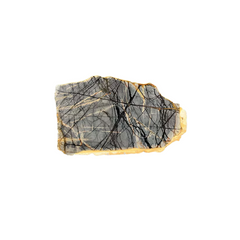 Picasso Jasper